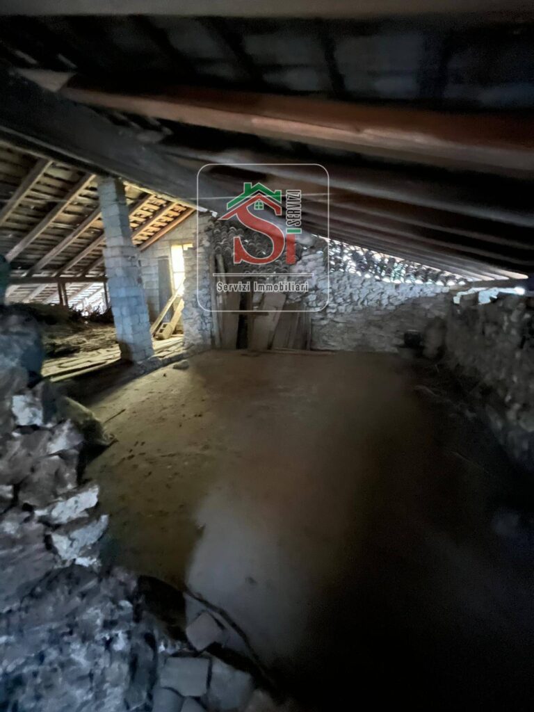 20250129182530-5.jpeg