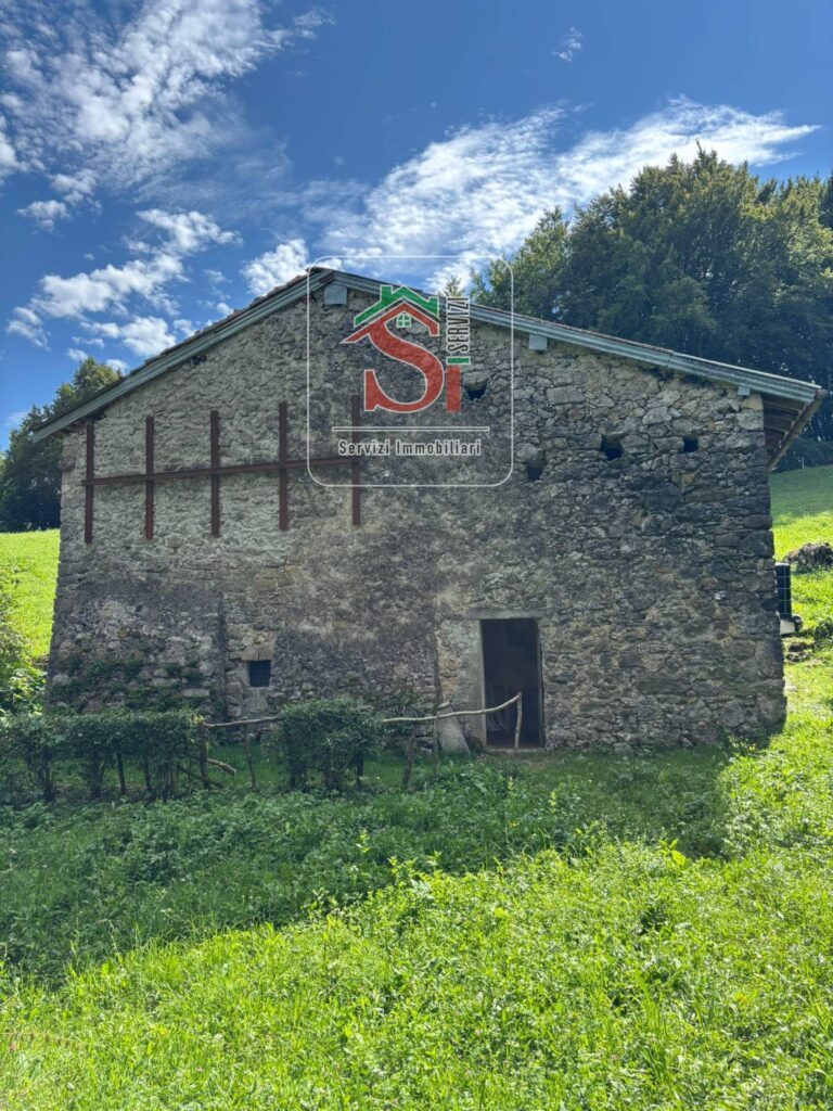 20250805173443-12.jpeg